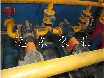 發(fā)電廠點火油泵