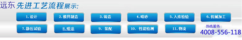 遠東油泵加工工藝圖