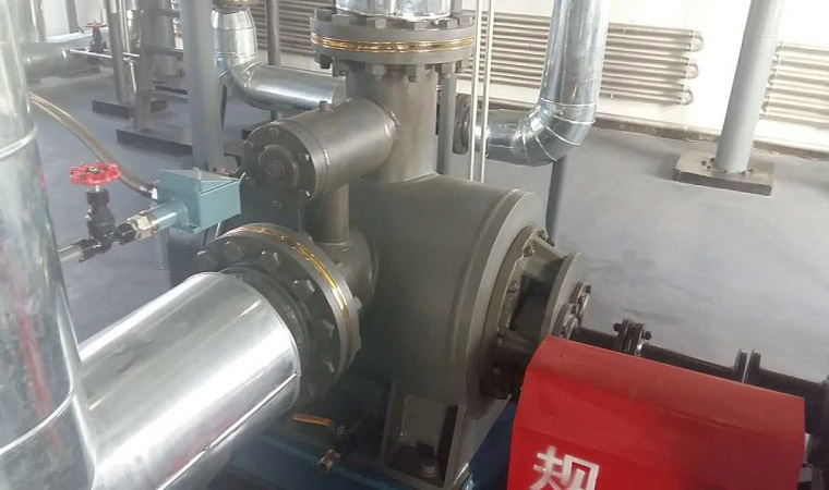 W不銹鋼雙螺桿泵用戶現場