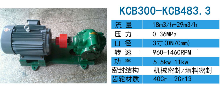 KCB300高溫齒輪泵