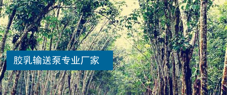 丁苯膠乳輸送泵