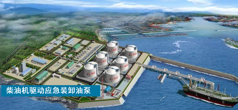 柴油機驅動齒輪泵