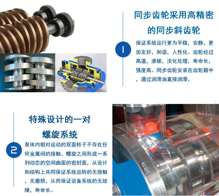 W.kSE雙螺桿泵細節