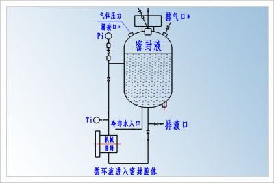 高粘度泵雙端面機械密封