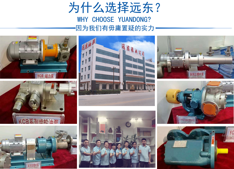 WKse單吸雙螺桿泵