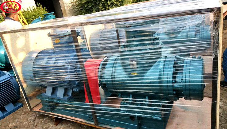 W7.2ZK-112M1W73A雙螺桿泵