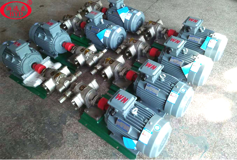 KCB-83.3不銹鋼齒輪泵