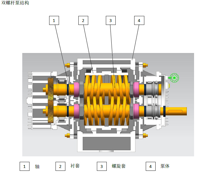 雙螺桿泵