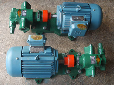 泊頭遠東齒輪泵