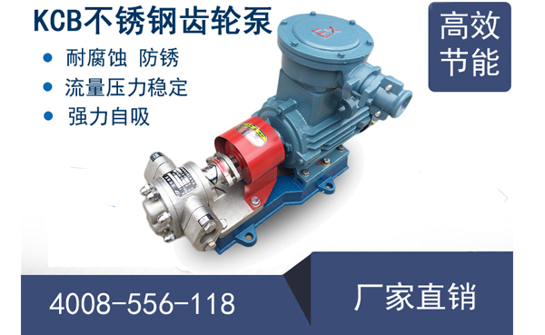 KCB不銹鋼齒輪泵型號及參數表