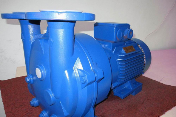 2BV水環式真空泵