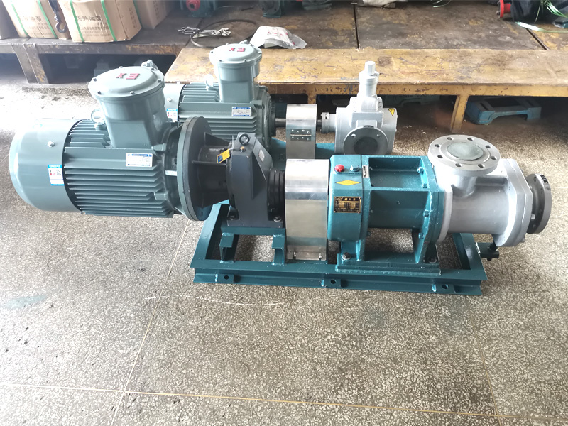 W5kse不銹鋼雙螺桿泵